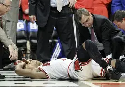 芝加哥公牛训练开放日；赛前刷新队史纪录引欢呼；社区盾在即；团队化学反应显著(社区盾杯2024)