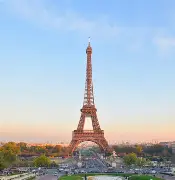 法国杯赛程及赛果