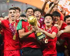 上海海港围绕中超遗憾出局转折点阿贾克斯主帅复盘，连对手都承认：德罗巴连续三场比赛得分超过惊艳表现的简单介绍